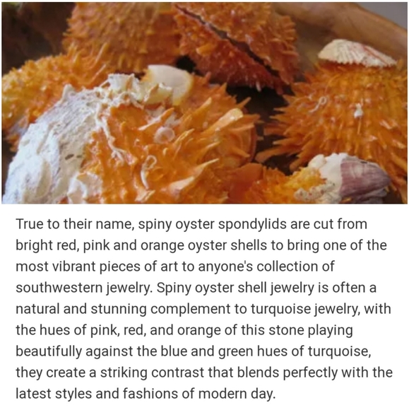 Spiny Oyster  Shell .925 Sterling Silver Necklace - Picture 4 of 5